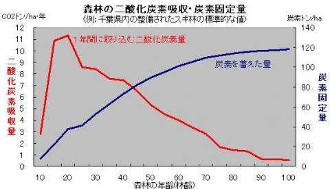 森林の二酸化炭素吸収・炭素固定量グラフ