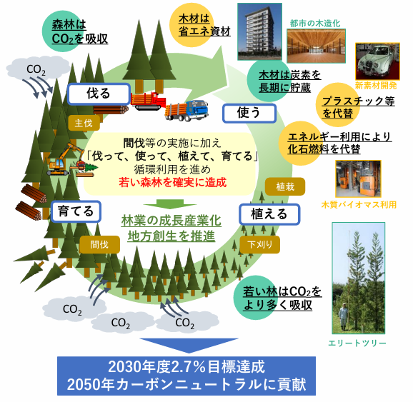 森林・林業・木材産業の現状と課題